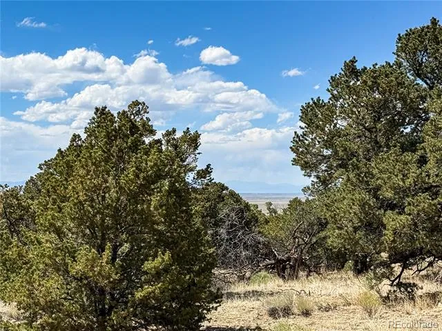 107 Crosstimber Lane Mosca, CO 81146