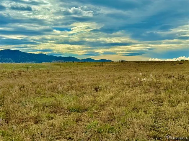 135 Fawn Street Westcliffe, CO 81252