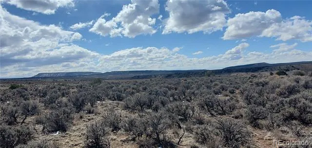 4101 Woodman Road Fort Garland, CO 81133