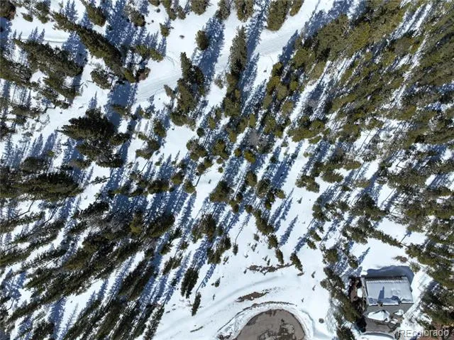 217 Goldenview Drive Breckenridge, CO 80424