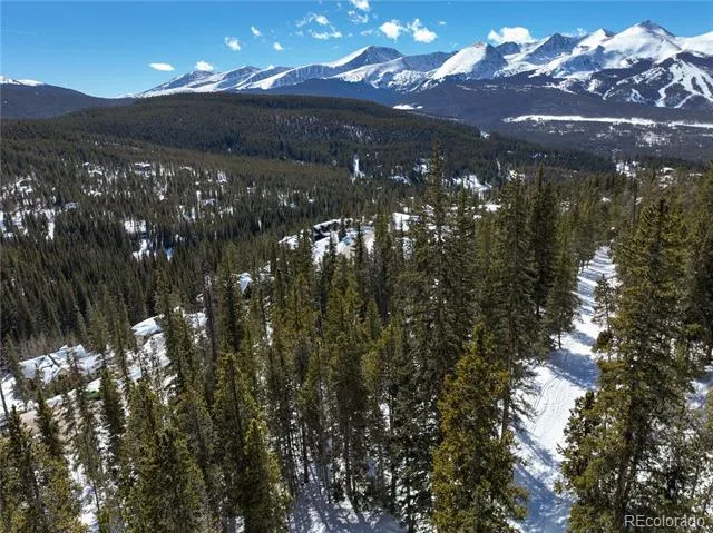 217 Goldenview Drive Breckenridge, CO 80424