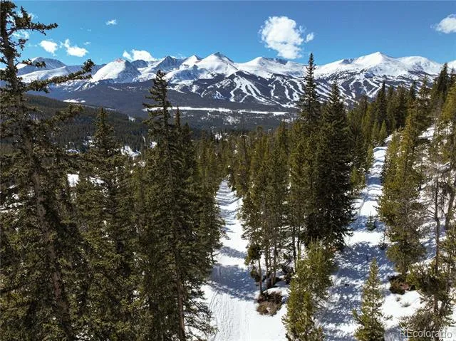 217 Goldenview Drive Breckenridge, CO 80424