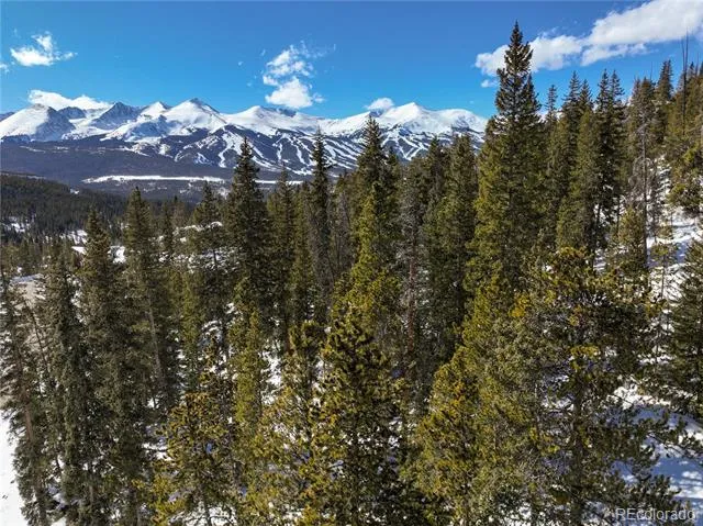 217 Goldenview Drive Breckenridge, CO 80424