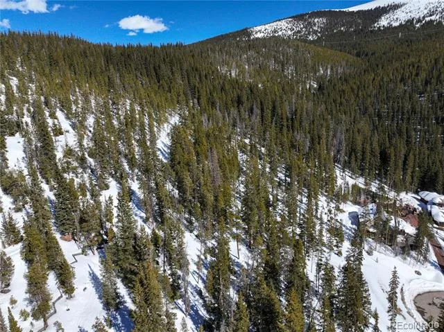 217 Goldenview Drive Breckenridge, CO 80424