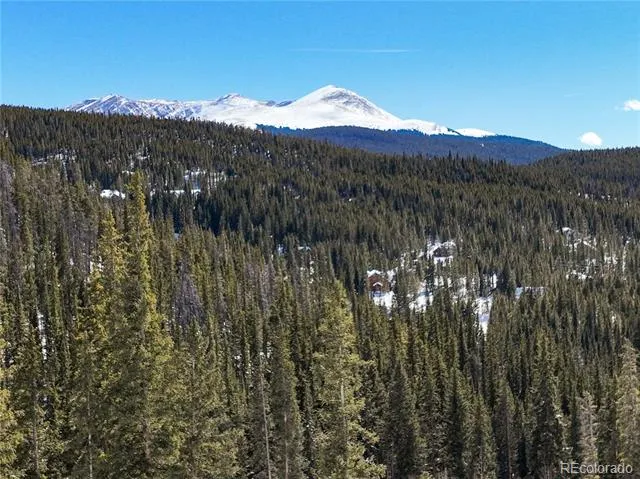 217 Goldenview Drive Breckenridge, CO 80424
