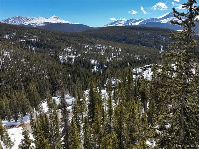217 Goldenview Drive Breckenridge, CO 80424