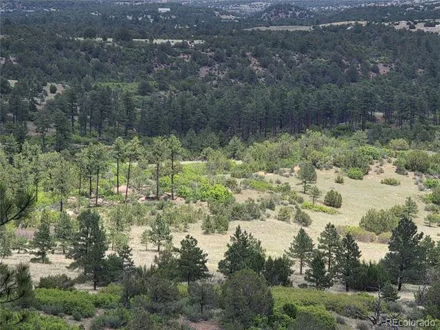 0 County Road 15 Florence, CO 81226