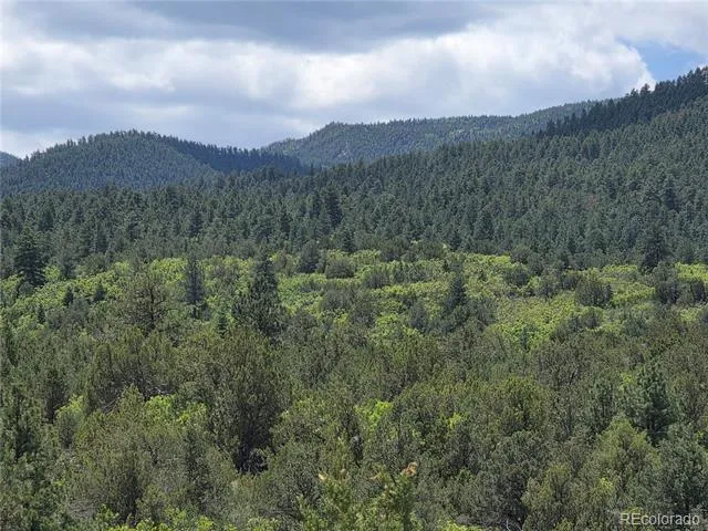 0 County Road 15 Florence, CO 81226