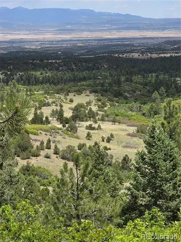 0 County Road 15 Florence, CO 81226