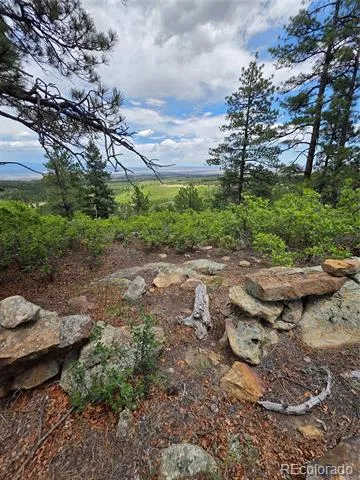 0 County Road 15 Florence, CO 81226