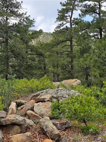 0 County Road 15 Florence, CO 81226