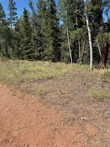 1007 Derby Drive Cripple Creek, CO 80813