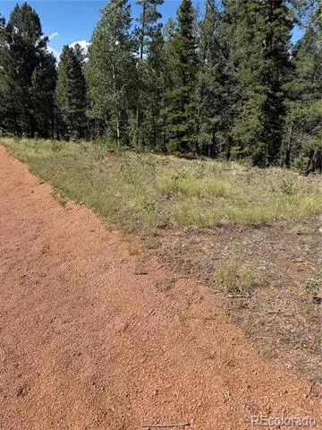 1007 Derby Drive Cripple Creek, CO 80813