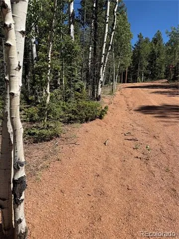 1007 Derby Drive Cripple Creek, CO 80813