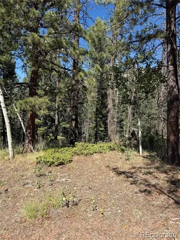 1007 Derby Drive Cripple Creek, CO 80813