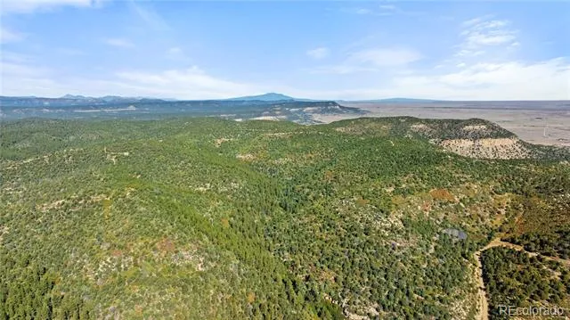 Lots L, M, N, O Tollerburg Road Trinidad, CO 81082