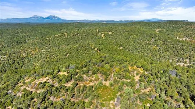 Lots L, M, N, O Tollerburg Road Trinidad, CO 81082