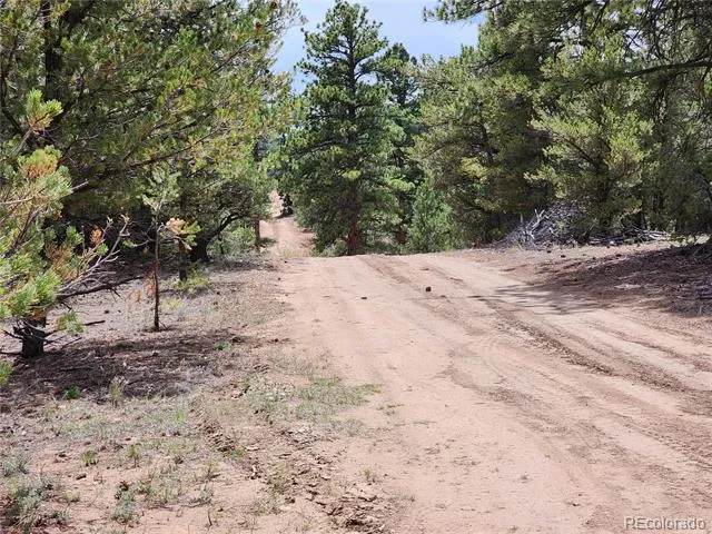 000 7TH TRAIL Cotopaxi, CO 81223