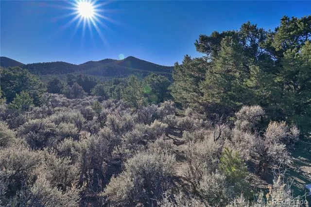 Address Not Shown Fort Garland, CO 81133