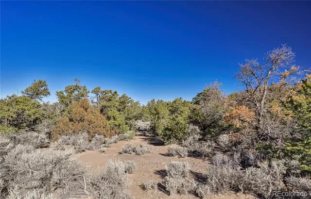 Address Not Shown Fort Garland, CO 81133
