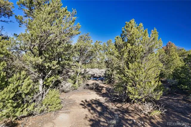 Address Not Shown Fort Garland, CO 81133