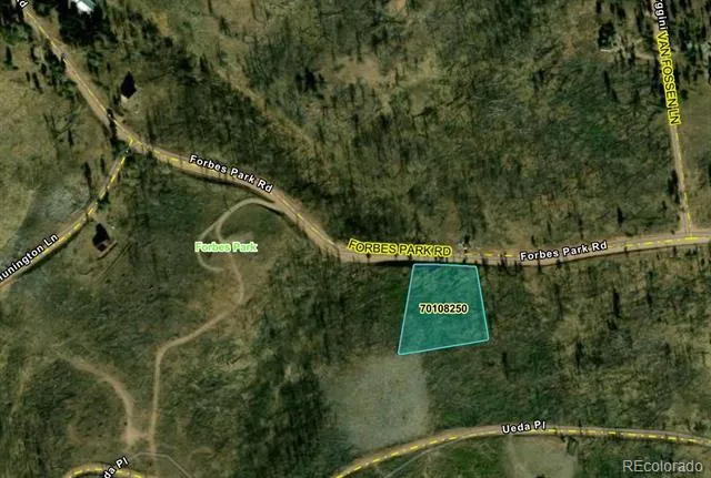 914 Forbes Park Road Fort Garland, CO 81133