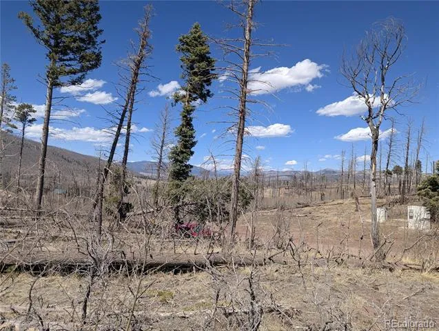914 Forbes Park Road Fort Garland, CO 81133