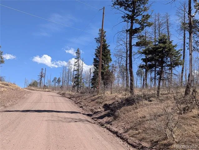914 Forbes Park Road Fort Garland, CO 81133