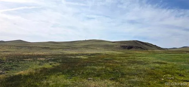209 Watonga Trail Hartsel, CO 80449