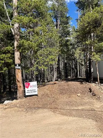000 Silver Creek Road Idaho Springs, CO 80452