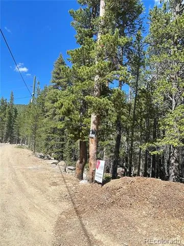 000 Silver Creek Road Idaho Springs, CO 80452