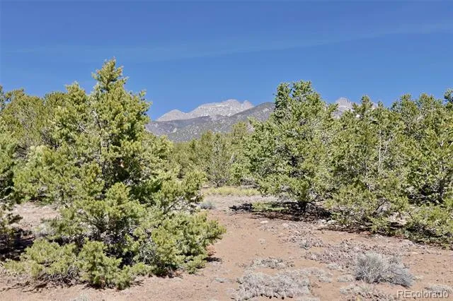 3921 Cordial Way Crestone, CO 81131