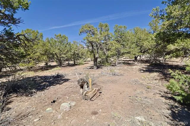 3921 Cordial Way Crestone, CO 81131