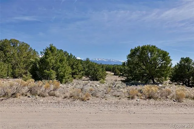 3921 Cordial Way Crestone, CO 81131