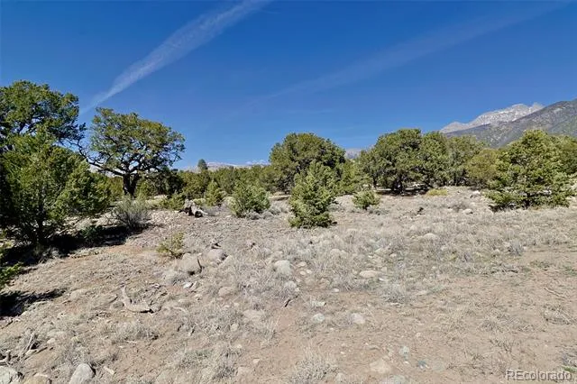 3921 Cordial Way Crestone, CO 81131
