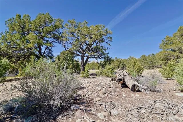 3921 Cordial Way Crestone, CO 81131