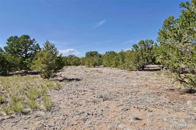 3921 Cordial Way Crestone, CO 81131