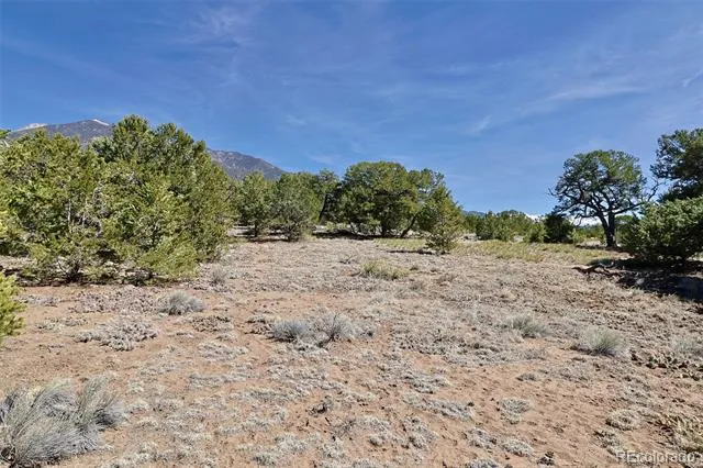 3921 Cordial Way Crestone, CO 81131