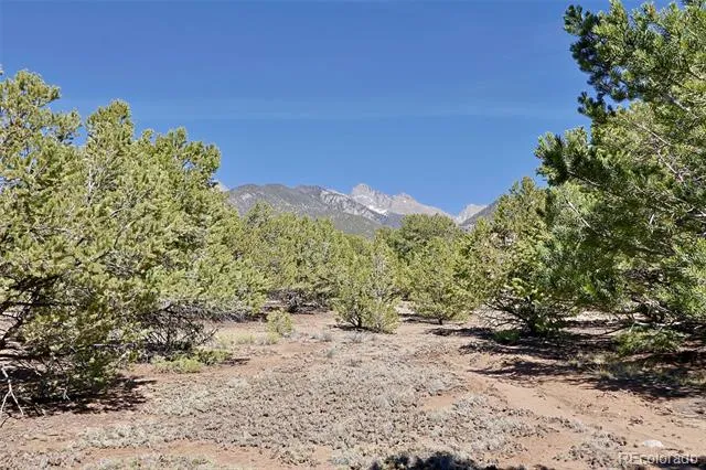 3921 Cordial Way Crestone, CO 81131