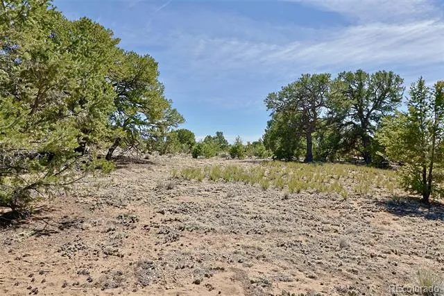 3921 Cordial Way Crestone, CO 81131