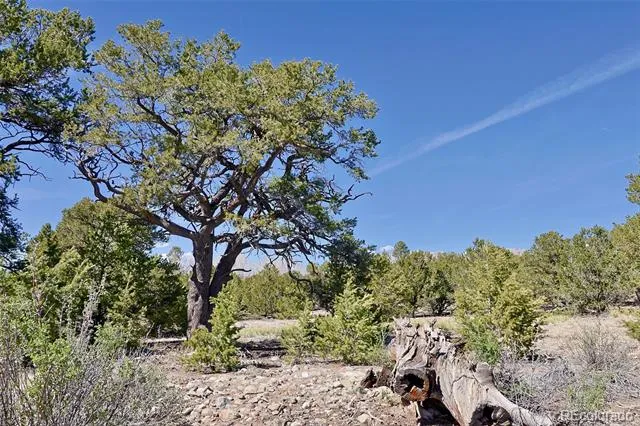 3921 Cordial Way Crestone, CO 81131