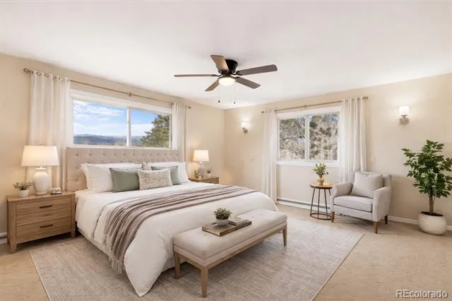 1874 Vagabond Creek Drive Lake George, CO 80827