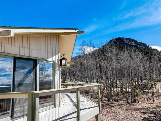 1874 Vagabond Creek Drive Lake George, CO 80827