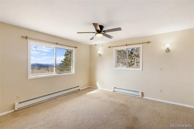 1874 Vagabond Creek Drive Lake George, CO 80827