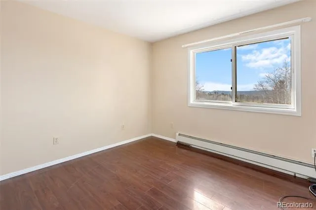1874 Vagabond Creek Drive Lake George, CO 80827