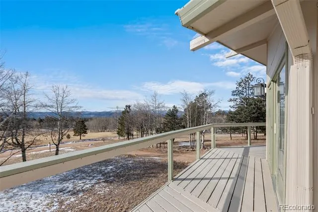 1874 Vagabond Creek Drive Lake George, CO 80827