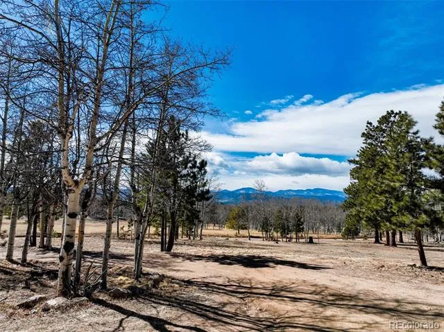 1874 Vagabond Creek Drive Lake George, CO 80827