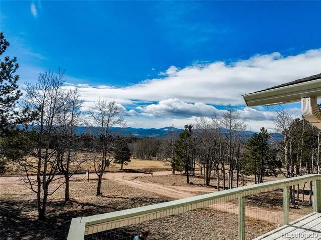 1874 Vagabond Creek Drive Lake George, CO 80827