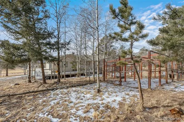 1874 Vagabond Creek Drive Lake George, CO 80827