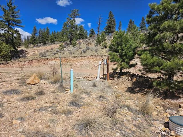 636 Bonell Drive Fairplay, CO 80440